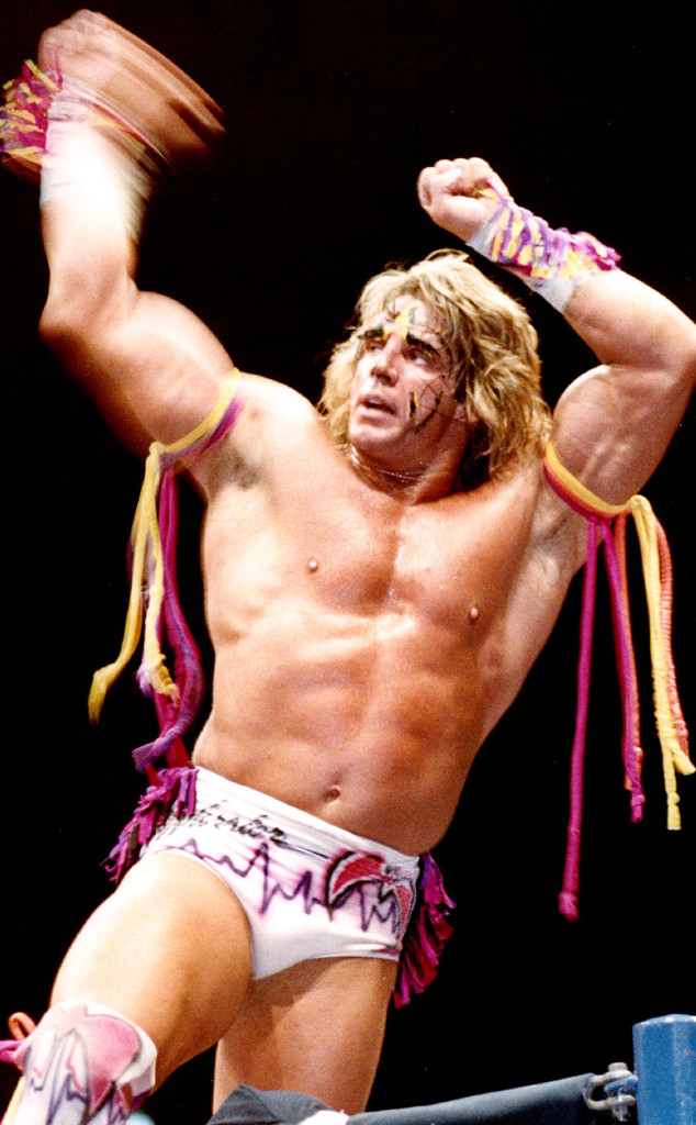 Ultimate Warrior, Owen Hart